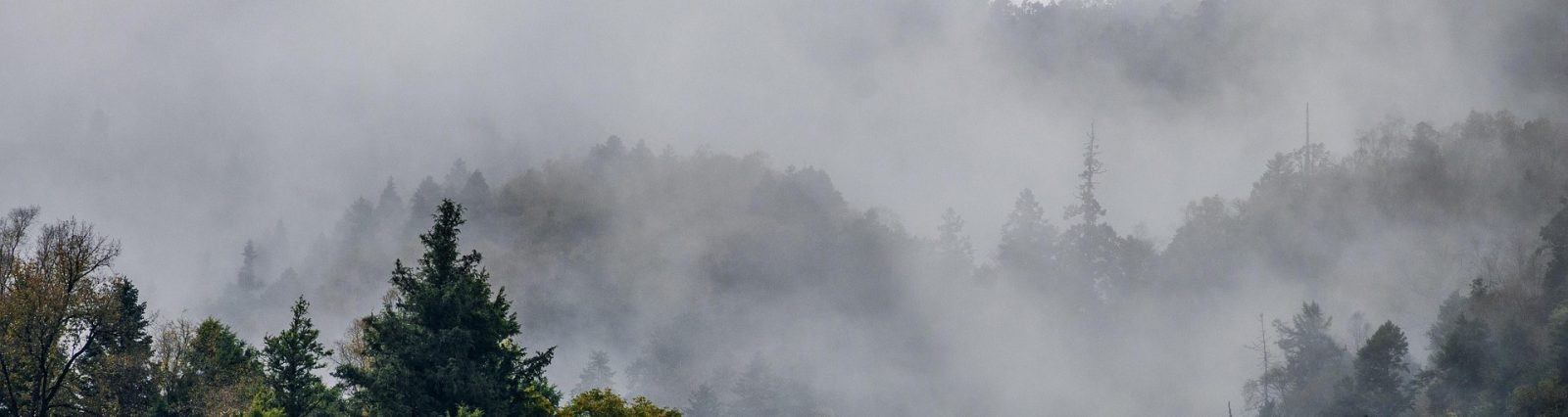 sea-of-clouds-6994730_1920 sea-of-clouds-6994730_1920